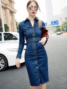 Lapel Single-Breasted Jean Women's Day Dress